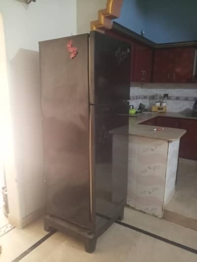 PEL Glass Door Frodge ( Large Size )
