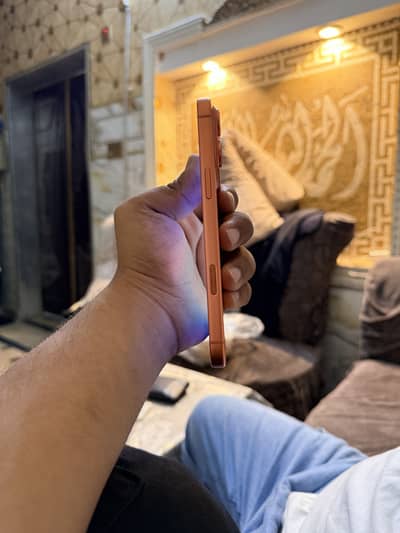 Apple iPhone 17 Pro Max factory unlock
