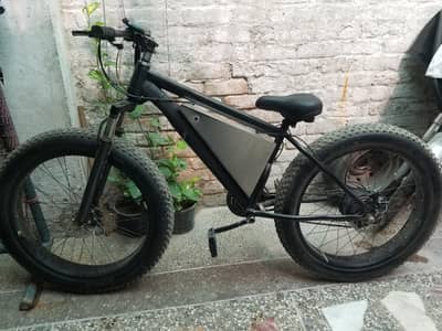 Electric Bicycle