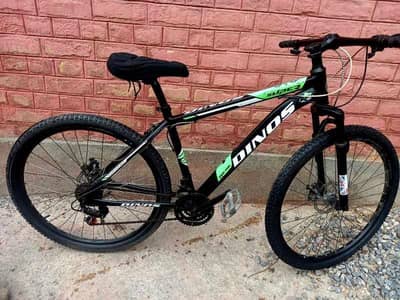 Dinos bicycle