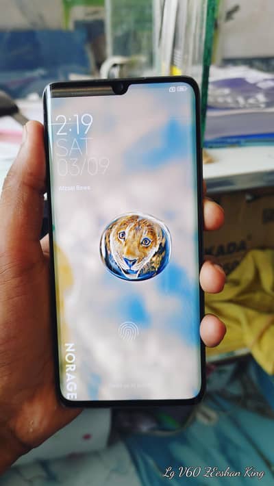 Xiaomi mi not10 pro(10.9)condition. all ok just panal isue toch no work