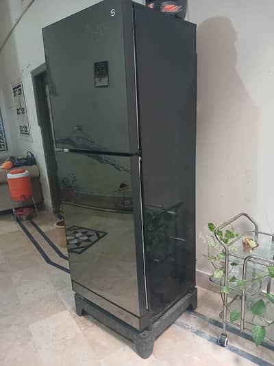pel full size refrigerator