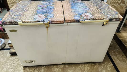 Waves Double Door Deep Freezer