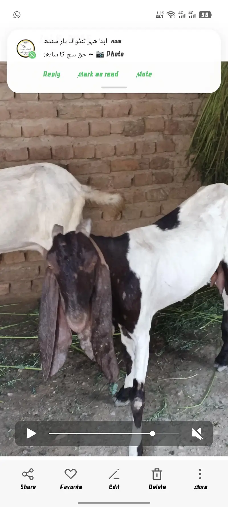 patarie Bakri — photo 2