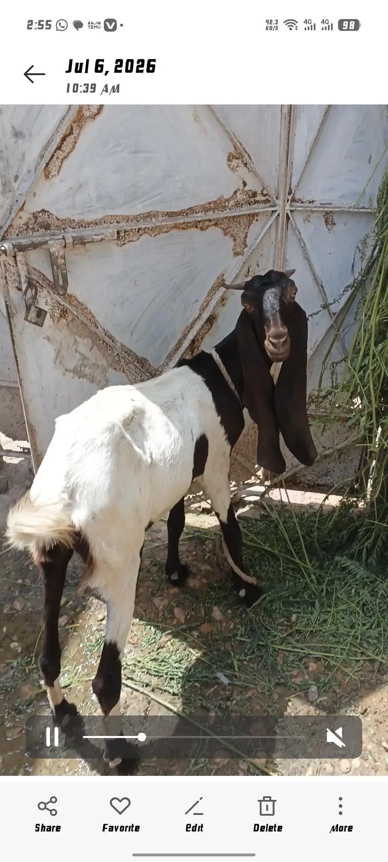 patarie Bakri — photo 8