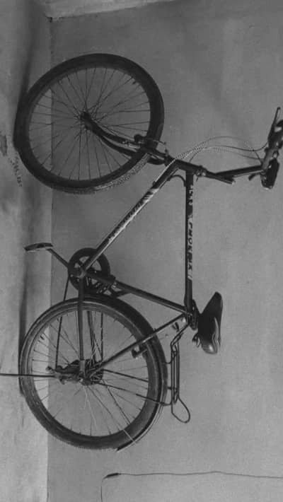 phoenix bicycle