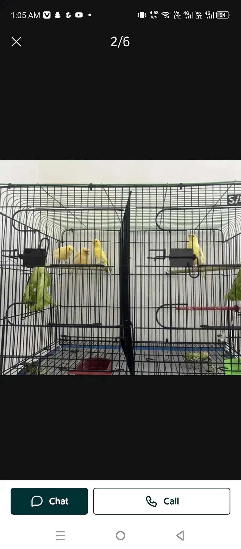 canary for sqle — photo 4