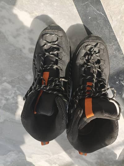 hiking Shoes
