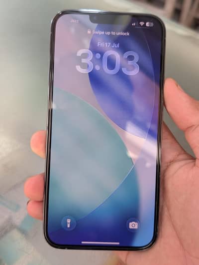 iPhone 13 Pro Max