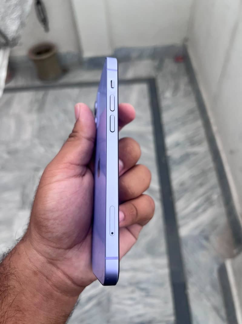 Apple iPhone 12 1