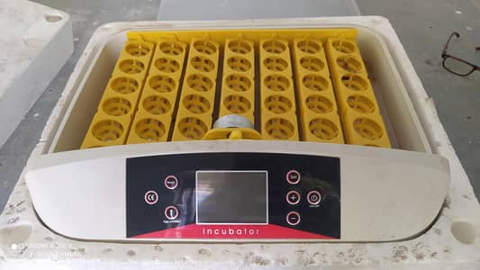 incubator automatic 36 eggs