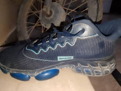 Columbus Shark Sports Shoes (Size UK 9 / EUR 43)