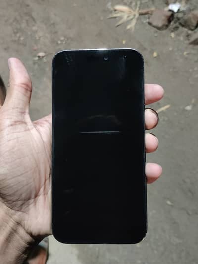 for sale