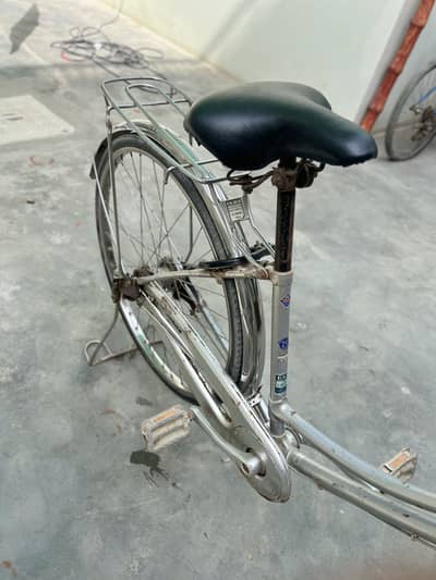 Japnis cycle