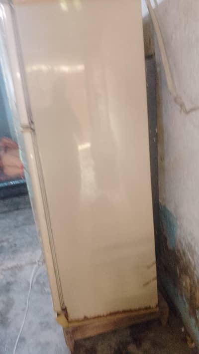 pel refrigerators hai orgnel
