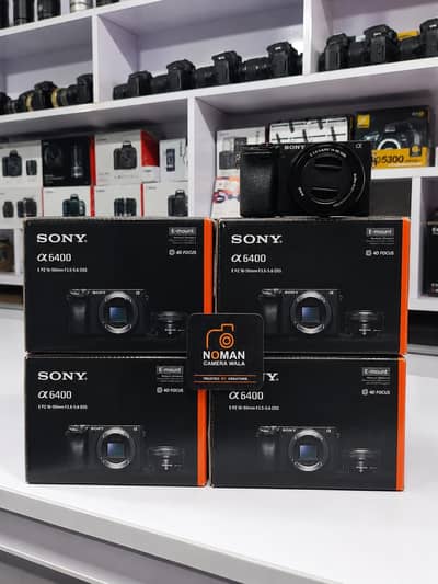 Sony a6400 with kittlens 10/10 Condition