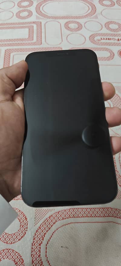 Apple iPhone 12 Pro Max