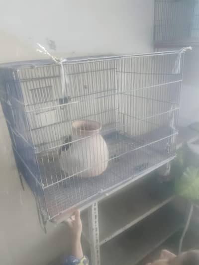 Parrot cage