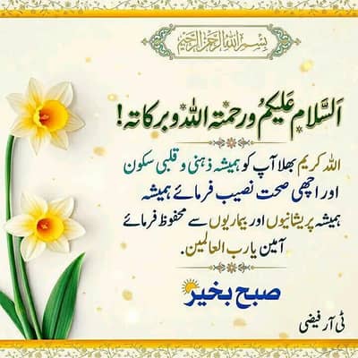 i need job waiter restaurant office boy helper