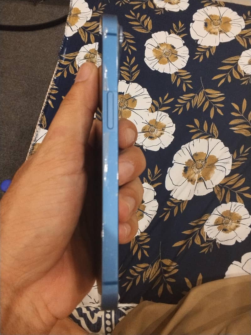 Apple iPhone 13 0