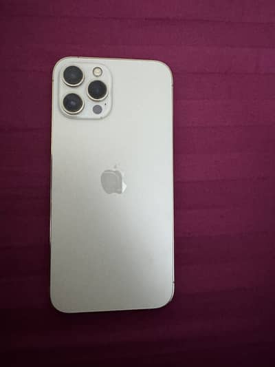 Apple iPhone 12 Pro Max