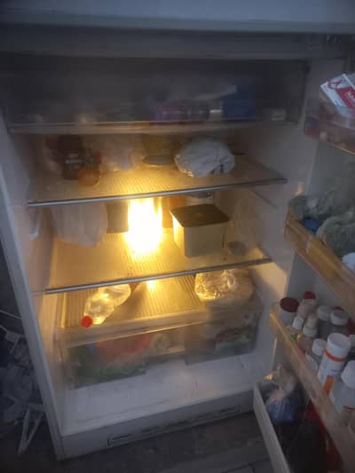20cf refrigerator no frost