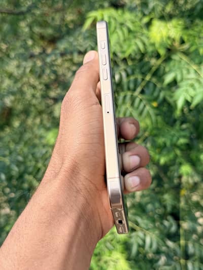 Apple iPhone 16 Pro Max bypass