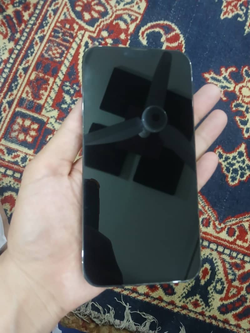 Apple iPhone 13 Pro Max 2