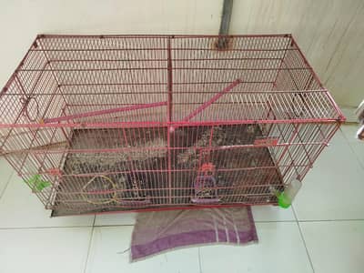 Cage for birds