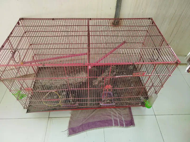 Cage for birds