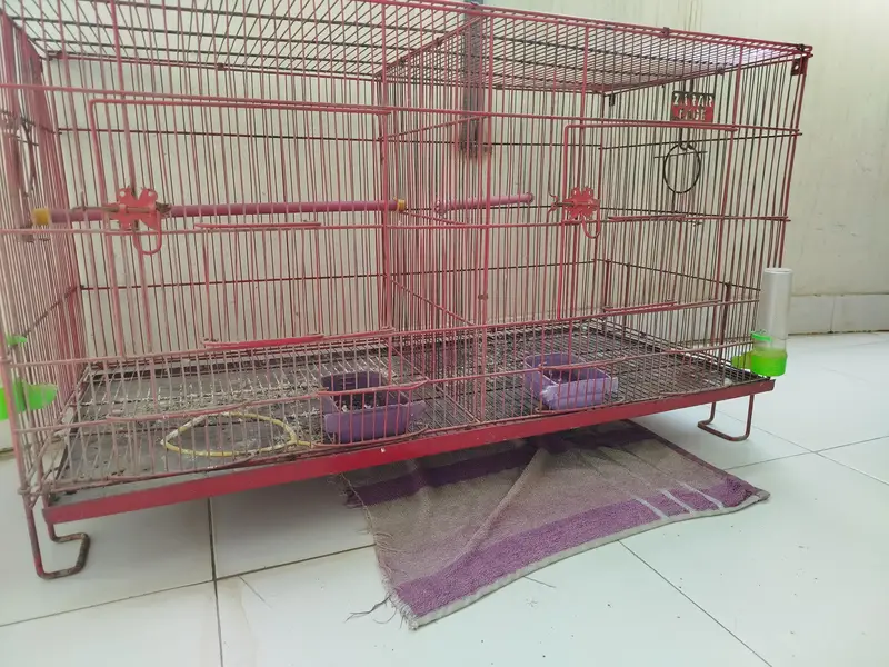 Cage for birds — photo 2