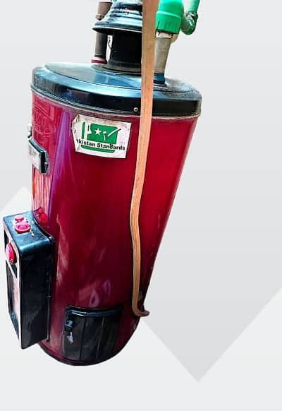 Medium size geyser