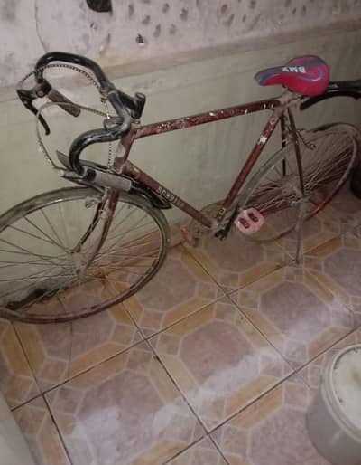 Schwinn Japanese Cycle