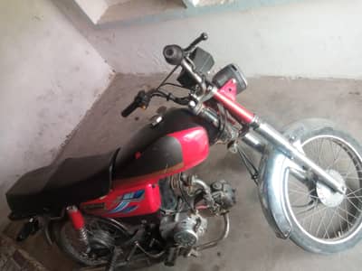 Osaka 15 model or aseel pure for sale 03120887227