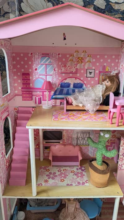 Big Doll house