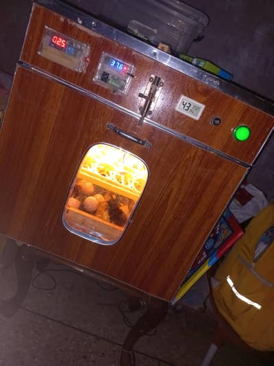 incubator full automatic 03454196103