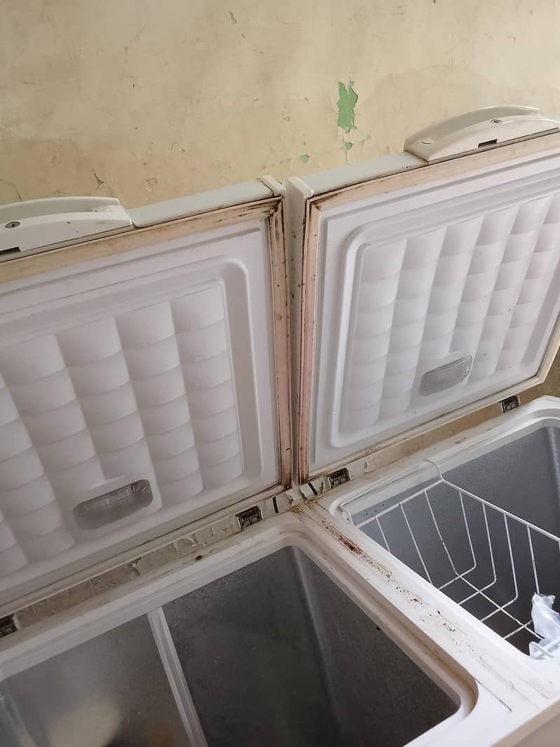 freezer 1