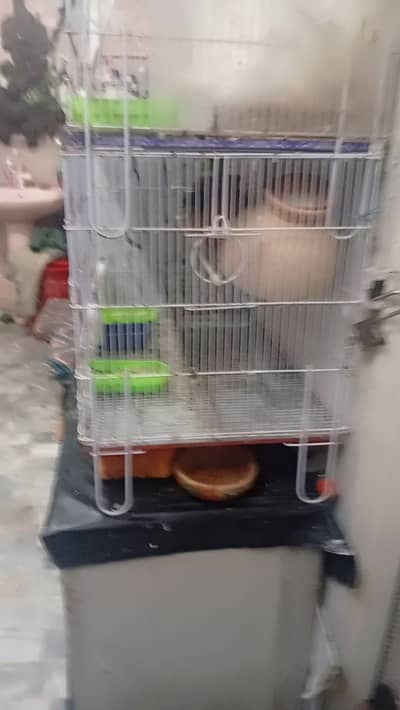 new cage and artificial grass nest and finch box or cocktail box