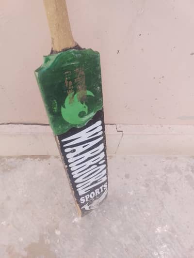 cricket