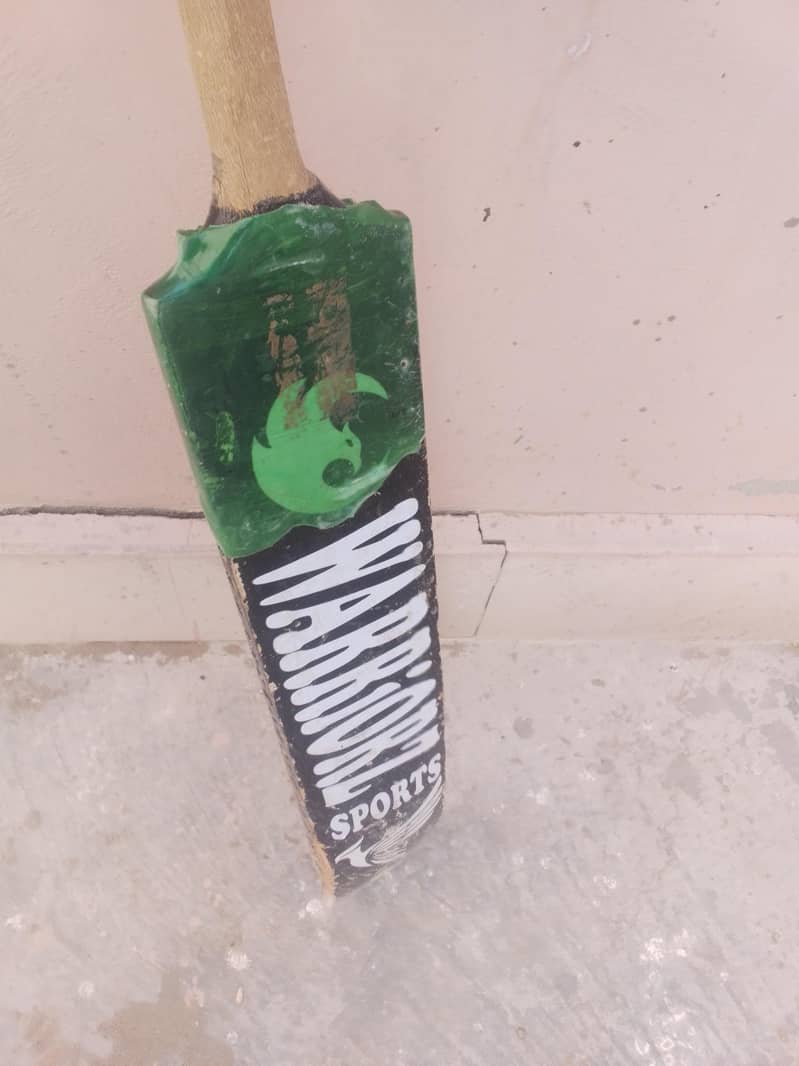 cricket 0