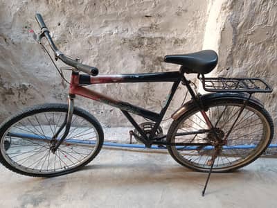 Phoenix Cycle