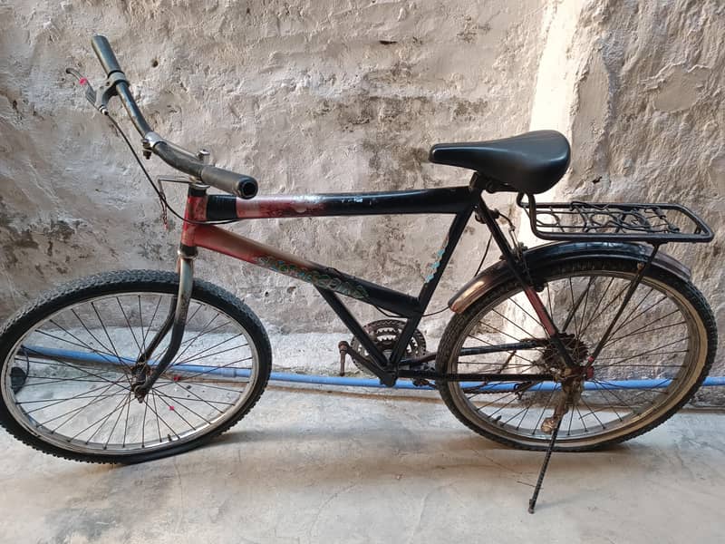 Phoenix Cycle 0