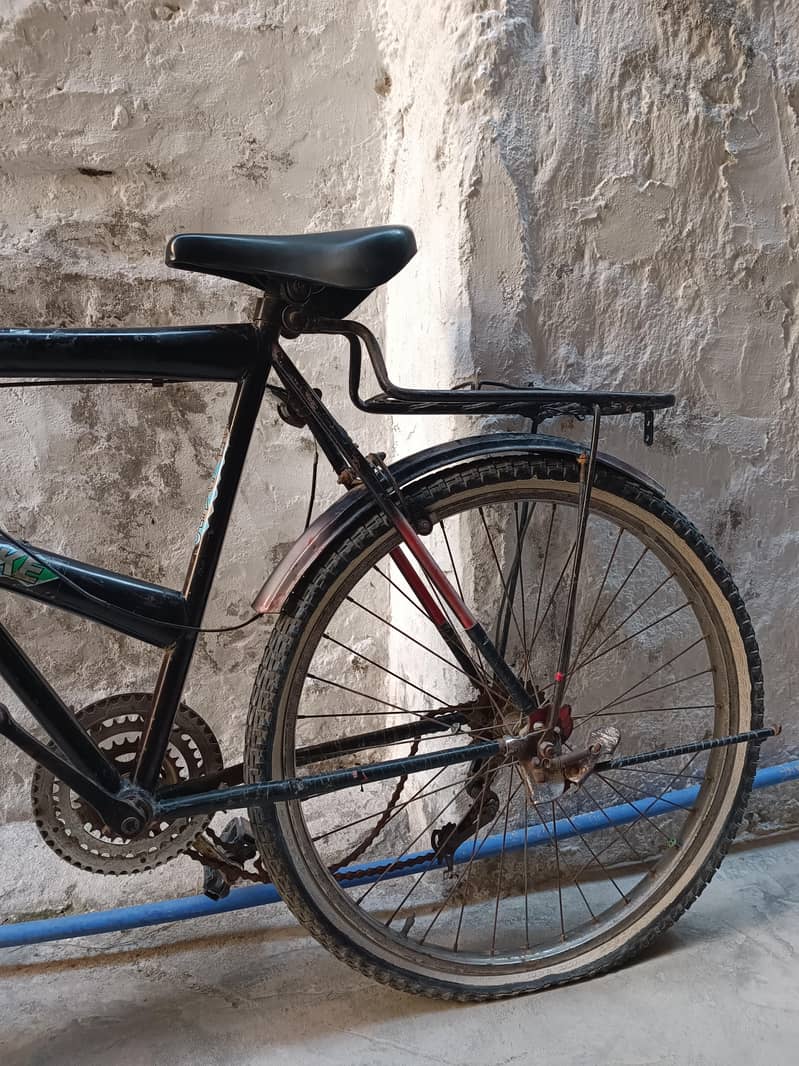 Phoenix Cycle 1