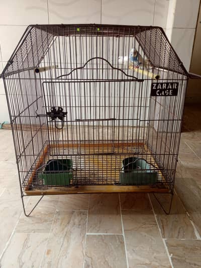 cage with birds urgent sale