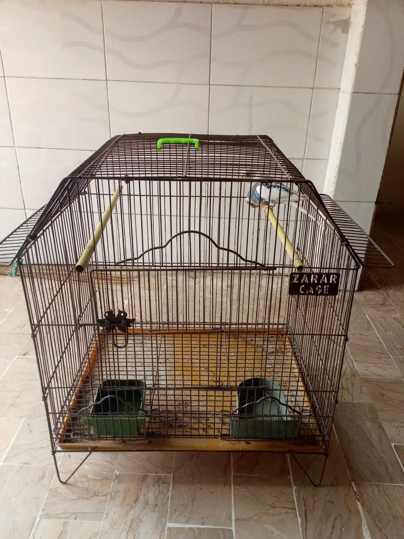 cage with birds — photo 4
