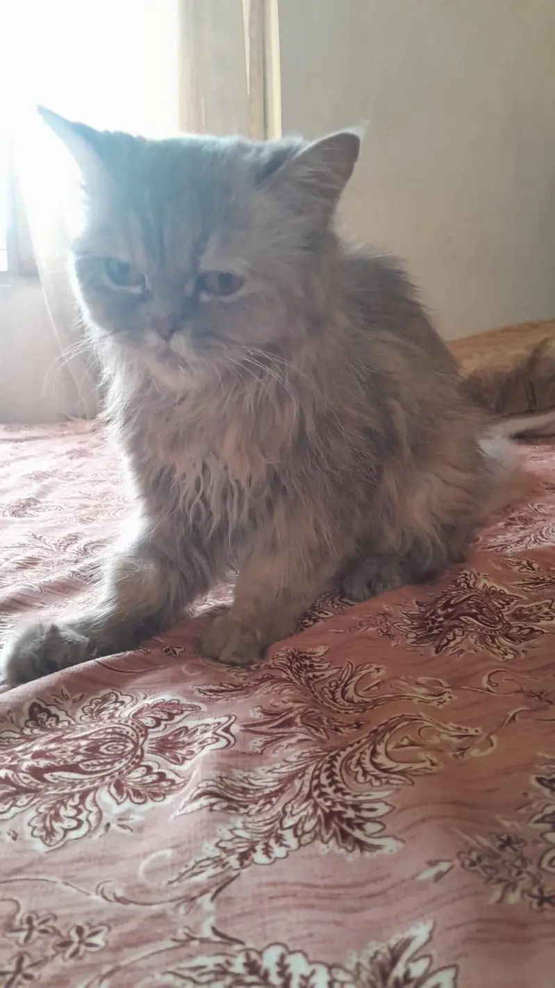 sath 3 bchy free 1 month age k — photo 3