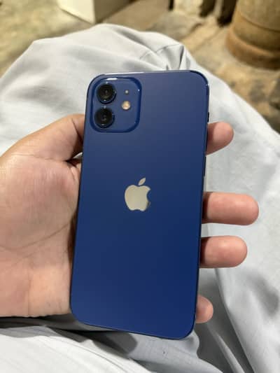 Apple iPhone 12 PTA Approved