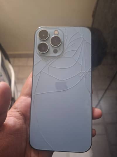 Apple iPhone 13 Pro Max