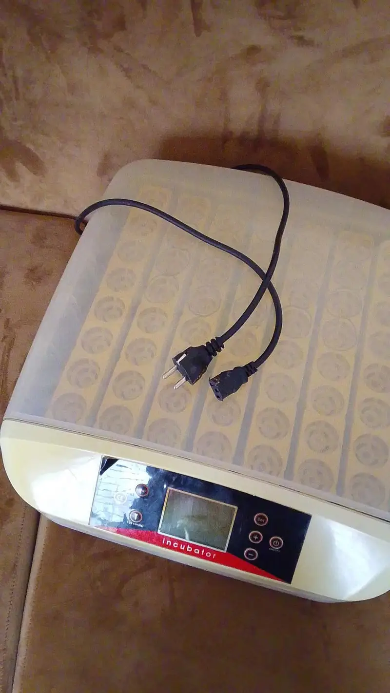 Egg hatching machine — photo 2