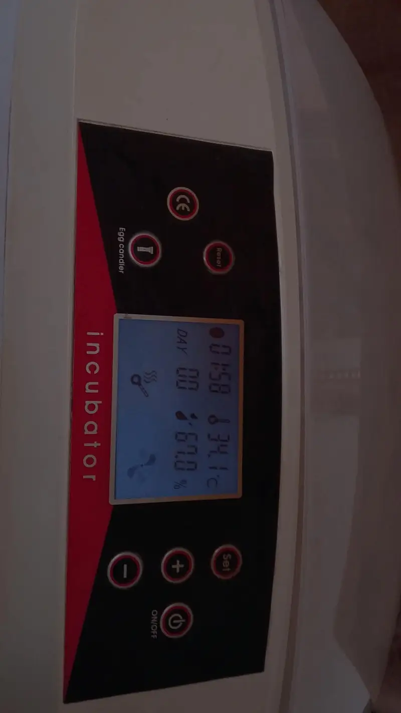 Egg hatching machine — photo 6
